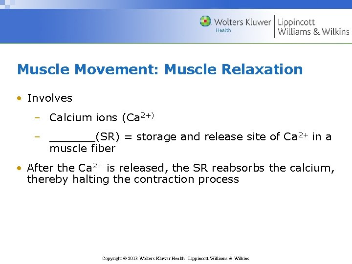 Muscle Movement: Muscle Relaxation • Involves – Calcium ions (Ca 2+) – ______(SR) =