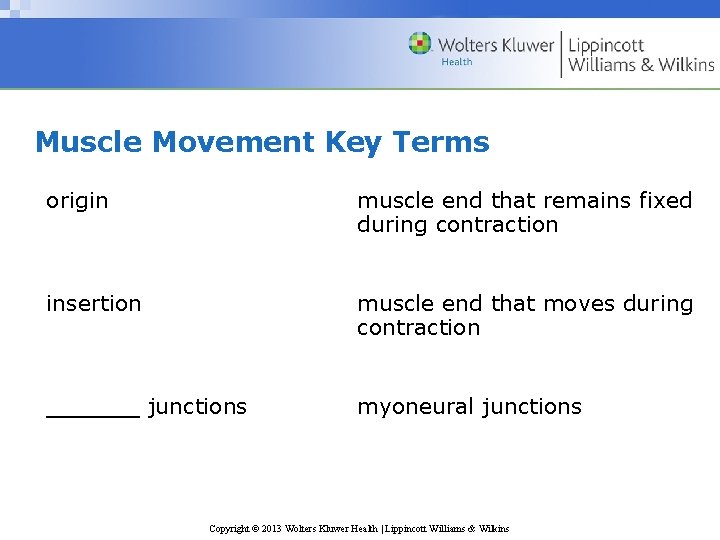 Muscle Movement Key Terms origin muscle end that remains fixed during contraction insertion muscle