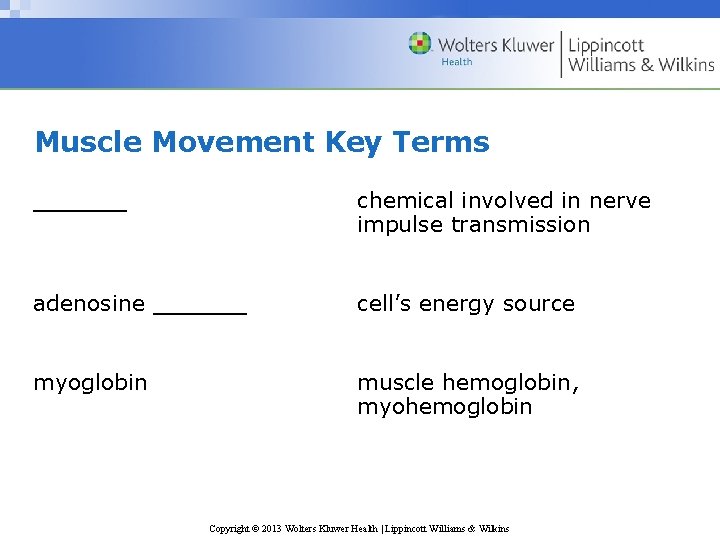 Muscle Movement Key Terms ______ chemical involved in nerve impulse transmission adenosine ______ cell’s