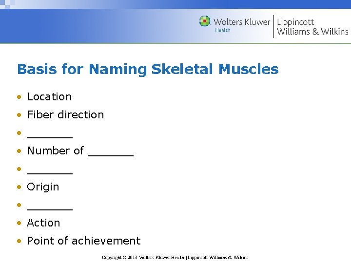 Basis for Naming Skeletal Muscles • Location • Fiber direction • ______ • Number