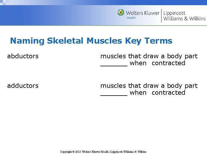 Naming Skeletal Muscles Key Terms abductors muscles that draw a body part ______ when
