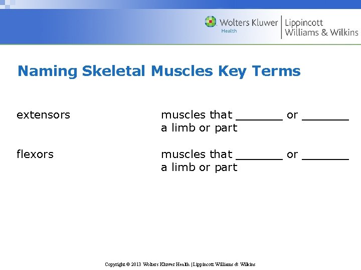 Naming Skeletal Muscles Key Terms extensors muscles that ______ or ______ a limb or