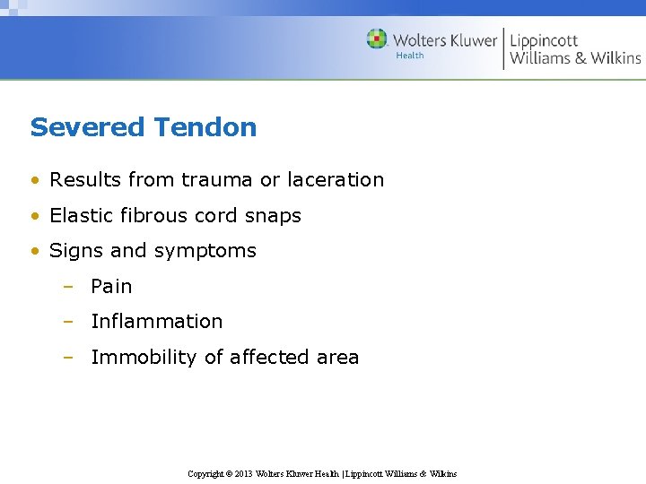 Severed Tendon • Results from trauma or laceration • Elastic fibrous cord snaps •