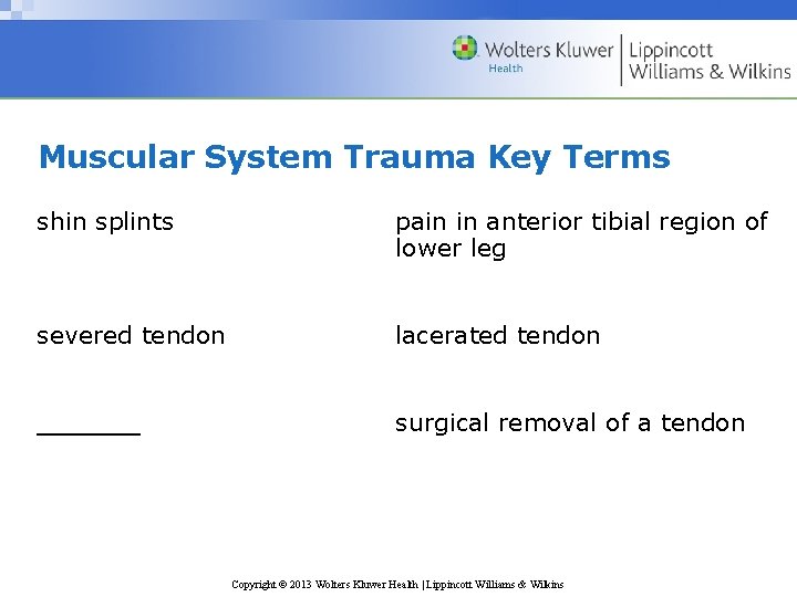 Muscular System Trauma Key Terms shin splints pain in anterior tibial region of lower