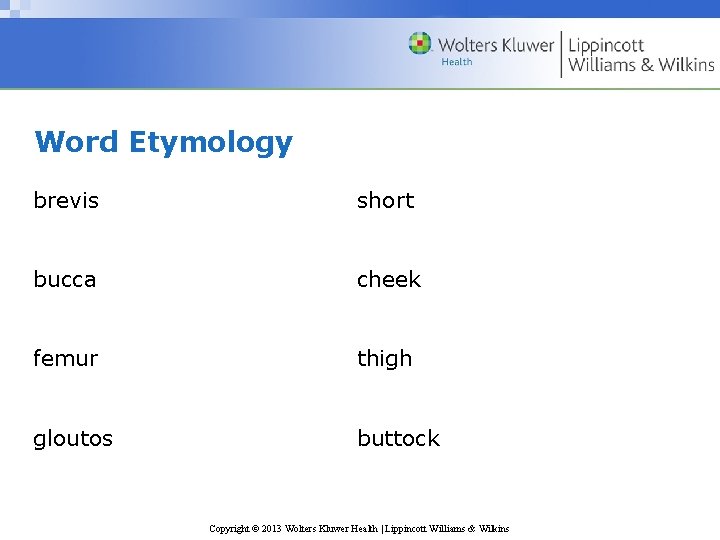 Word Etymology brevis short bucca cheek femur thigh gloutos buttock Copyright © 2013 Wolters