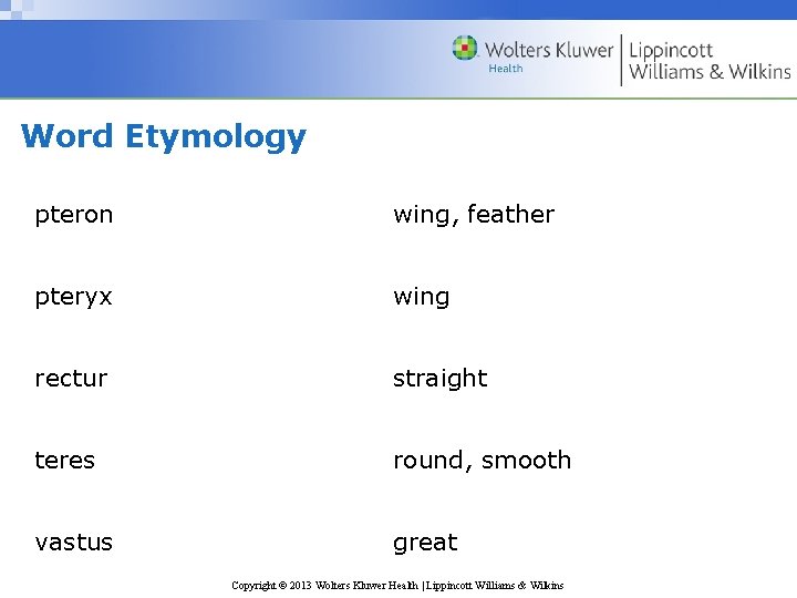 Word Etymology pteron wing, feather pteryx wing rectur straight teres round, smooth vastus great