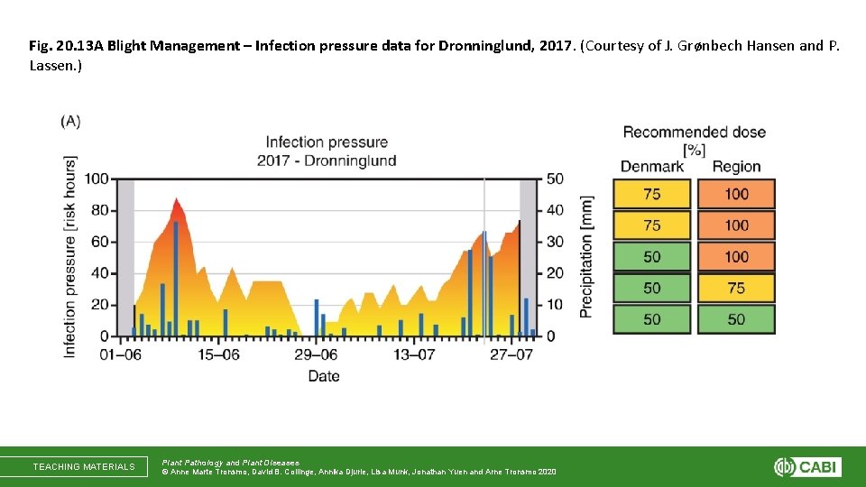 Fig. 20. 13 A Blight Management – Infection pressure data for Dronninglund, 2017. (Courtesy