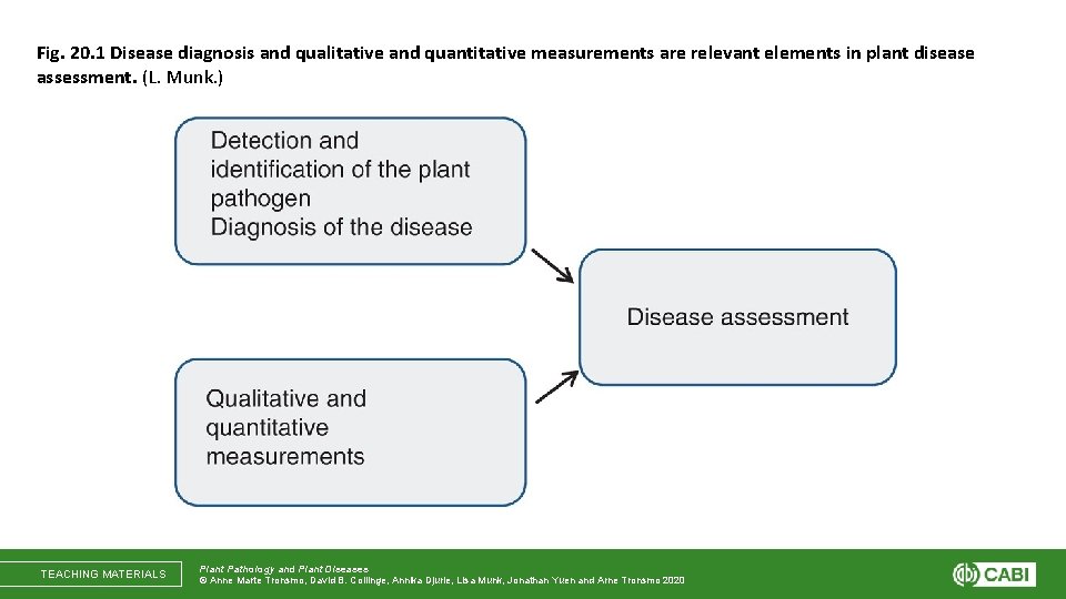Fig. 20. 1 Disease diagnosis and qualitative and quantitative measurements are relevant elements in