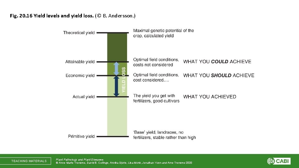Fig. 20. 16 Yield levels and yield loss. (© B. Andersson. ) TEACHING MATERIALS