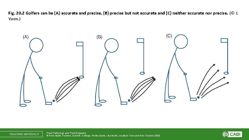 Fig. 20. 2 Golfers can be (A) accurate and precise, (B) precise but not