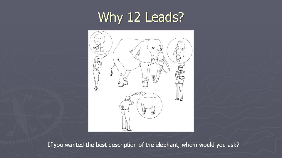 Why 12 Leads? If you wanted the best description of the elephant, whom would Why 12 Leads? If you wanted the best description of the elephant, whom would