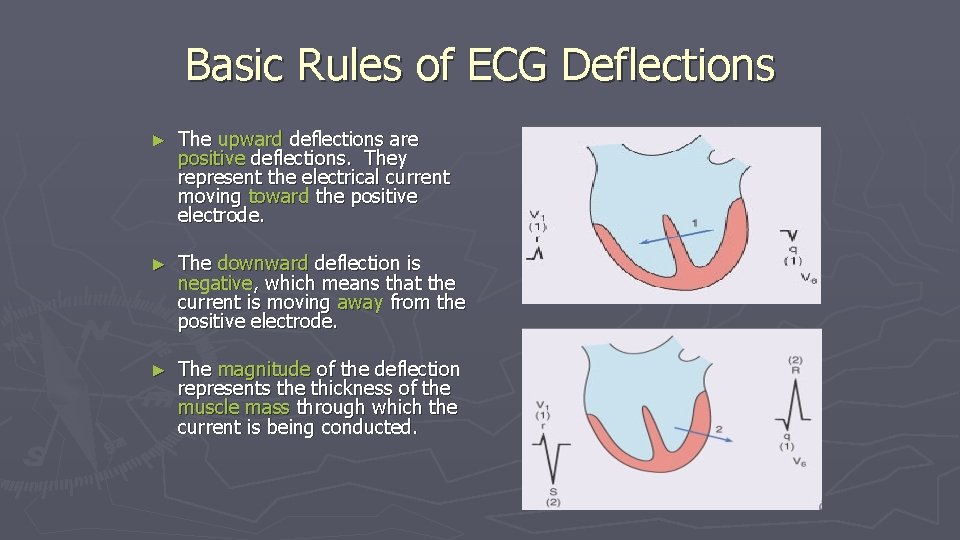 Basic Rules of ECG Deflections ► The upward deflections are positive deflections. They represent Basic Rules of ECG Deflections ► The upward deflections are positive deflections. They represent
