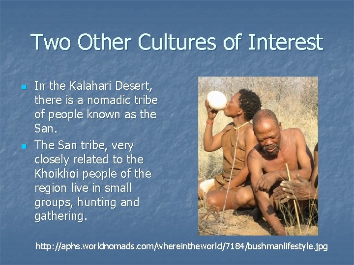 Two Other Cultures of Interest n n In the Kalahari Desert, there is a