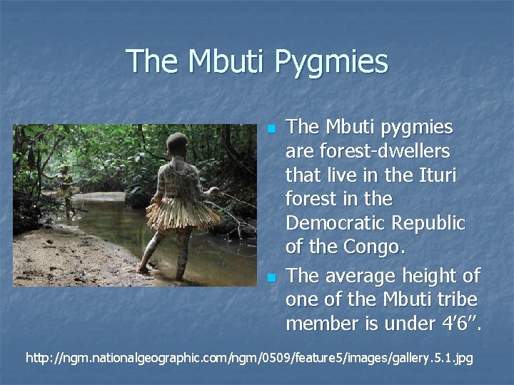 The Mbuti Pygmies n n The Mbuti pygmies are forest-dwellers that live in the