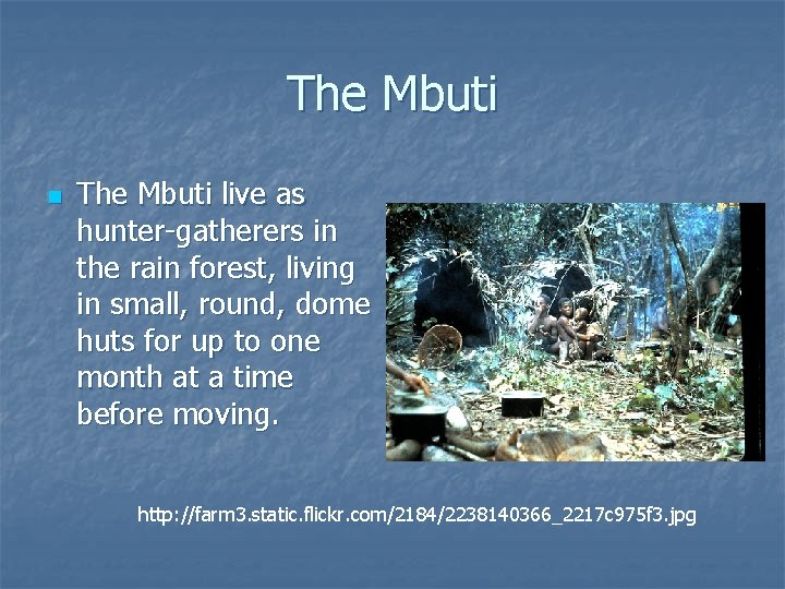 The Mbuti n The Mbuti live as hunter-gatherers in the rain forest, living in