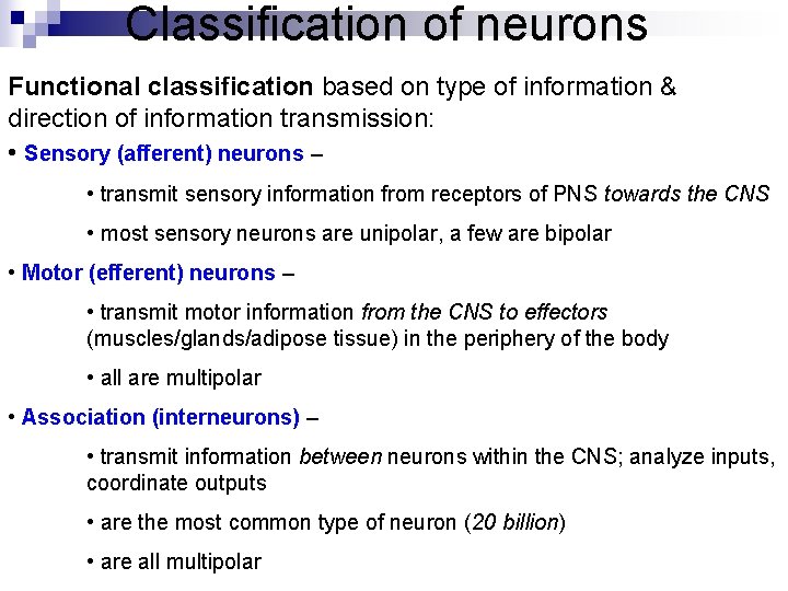 Classification of neurons Functional classification based on type of information & direction of information Classification of neurons Functional classification based on type of information & direction of information