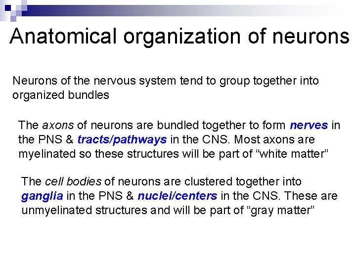 Anatomical organization of neurons Neurons of the nervous system tend to group together into Anatomical organization of neurons Neurons of the nervous system tend to group together into