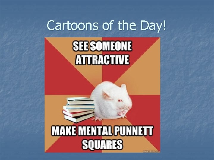 Cartoons of the Day! Cartoons of the Day!