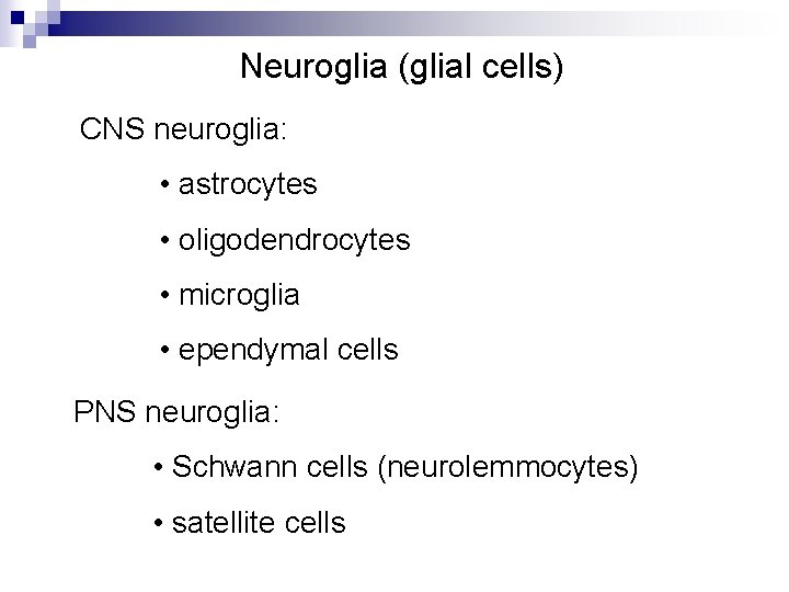Neuroglia (glial cells) CNS neuroglia: • astrocytes • oligodendrocytes • microglia • ependymal cells Neuroglia (glial cells) CNS neuroglia: • astrocytes • oligodendrocytes • microglia • ependymal cells