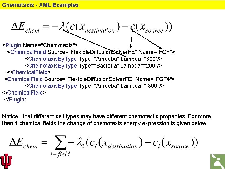 Chemotaxis - XML Examples <Plugin Name="Chemotaxis"> <Chemical. Field Source="Flexible. Diffusion. Solver. FE" Name="FGF"> <Chemotaxis.