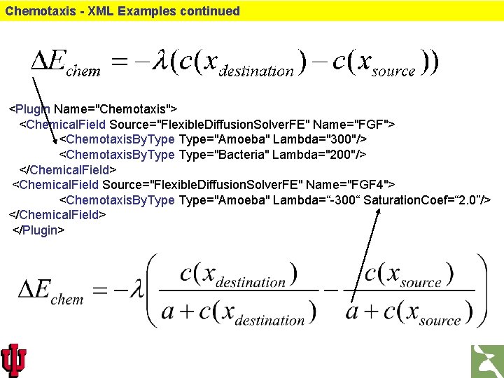 Chemotaxis - XML Examples continued <Plugin Name="Chemotaxis"> <Chemical. Field Source="Flexible. Diffusion. Solver. FE" Name="FGF">