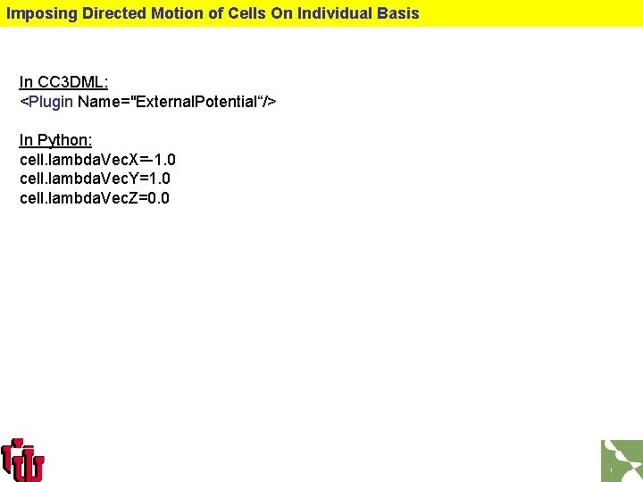 Imposing Directed Motion of Cells On Individual Basis In CC 3 DML: <Plugin Name="External.