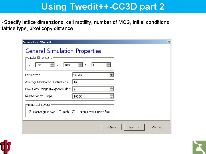 Using Twedit++-CC 3 D part 2 • Specify lattice dimensions, cell motility, number of