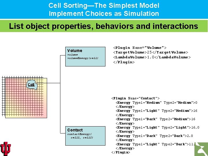 Cell Sorting—The Simplest Model Implement Choices as Simulation List object properties, behaviors and interactions