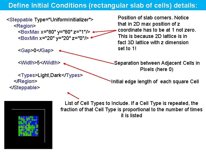 Define Initial Conditions (rectangular slab of cells) details: <Steppable Type="Uniform. Initializer"> <Region> <Box. Max