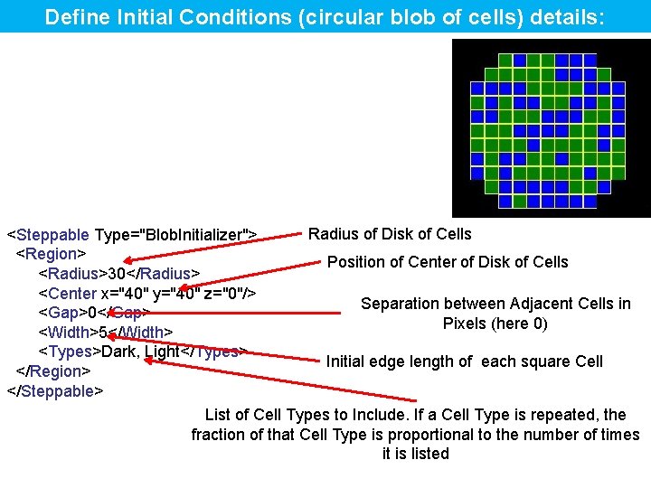 Define Initial Conditions (circular blob of cells) details: Radius of Disk of Cells <Steppable