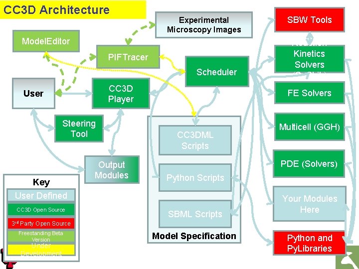 CC 3 D Architecture Experimental Microscopy Images Model. Editor PIFTracer Scheduler CC 3 D