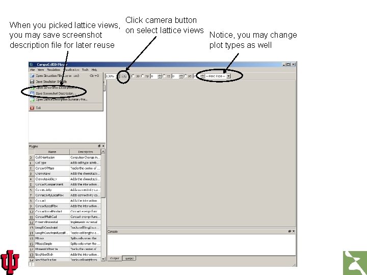 Click camera button When you picked lattice views, on select lattice views you may