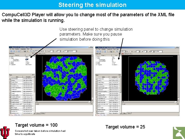 Steering the simulation Compu. Cell 3 D Player will allow you to change most