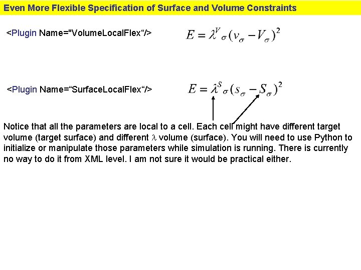 Even More Flexible Specification of Surface and Volume Constraints <Plugin Name="Volume. Local. Flex“/> <Plugin