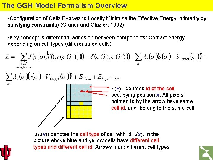 The GGH Model Formalism Overview • Configuration of Cells Evolves to Locally Minimize the