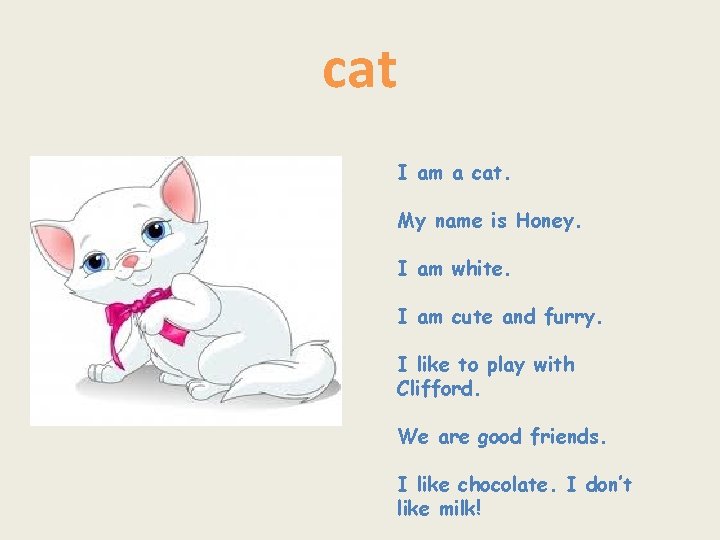 cat I am a cat. My name is Honey. I am white. I am