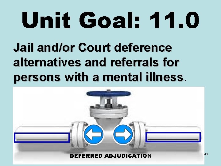 Unit Goal: 11. 0 Jail and/or Court deference alternatives and referrals for persons with