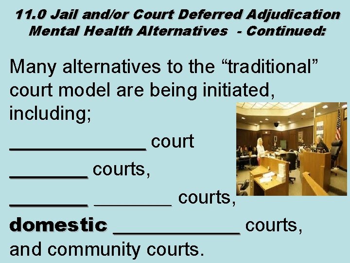 11. 0 Jail and/or Court Deferred Adjudication Mental Health Alternatives - Continued: Many alternatives