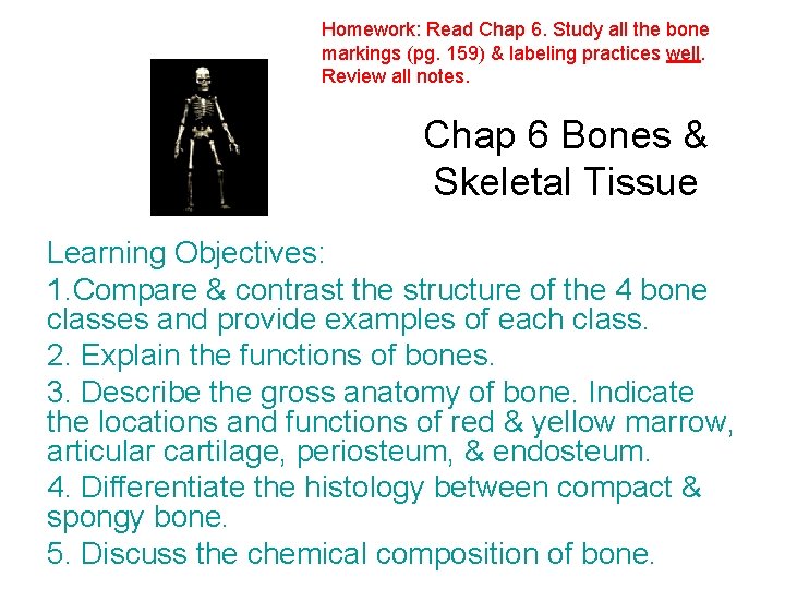 Homework: Read Chap 6. Study all the bone markings (pg. 159) & labeling practices