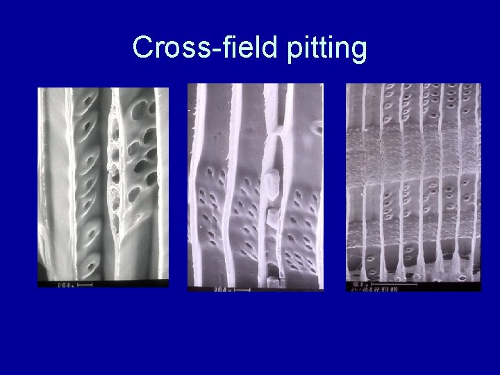 Cross-field pitting 