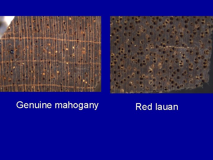 Genuine mahogany Red lauan 