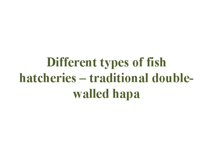 Different types of fish hatcheries – traditional doublewalled hapa 