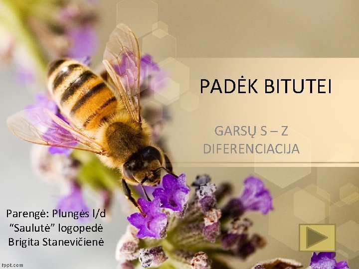 PADĖK BITUTEI GARSŲ S – Z DIFERENCIACIJA Parengė: Plungės l/d “Saulutė” logopedė Brigita Stanevičienė