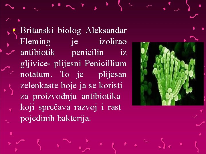  • Britanski biolog Aleksandar Fleming je izolirao antibiotik penicilin iz gljivice- plijesni Penicillium