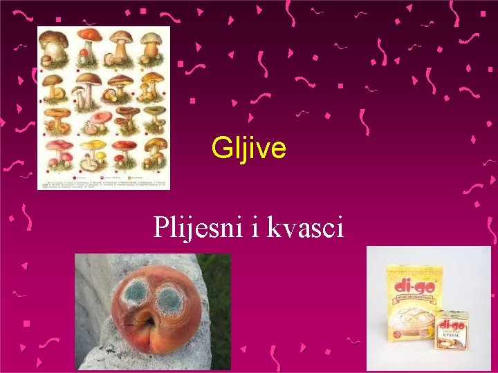 Gljive Plijesni i kvasci 