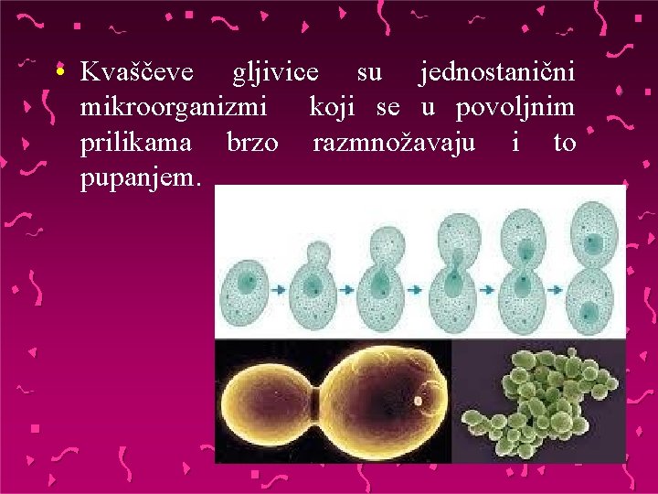  • Kvaščeve gljivice su jednostanični mikroorganizmi koji se u povoljnim prilikama brzo razmnožavaju