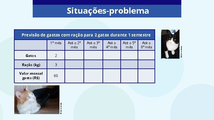 Situações-problema Gatos 2 Ração (kg) 3 Valor mensal gasto (R$) 60 © Geno Alves