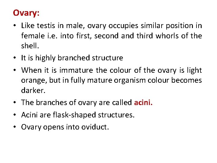 Ovary: • Like testis in male, ovary occupies similar position in female i. e.