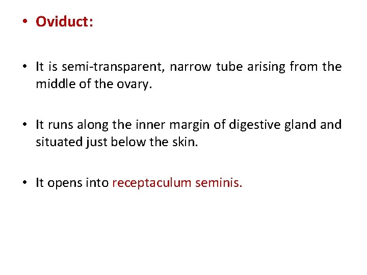  • Oviduct: • It is semi-transparent, narrow tube arising from the middle of