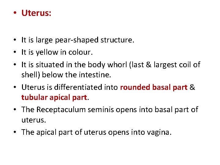  • Uterus: • It is large pear-shaped structure. • It is yellow in